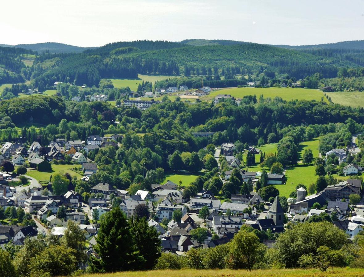 Fewo Blumes Bergfrieden Mit Meinecardplus ヴィリンゲン エクステリア 写真