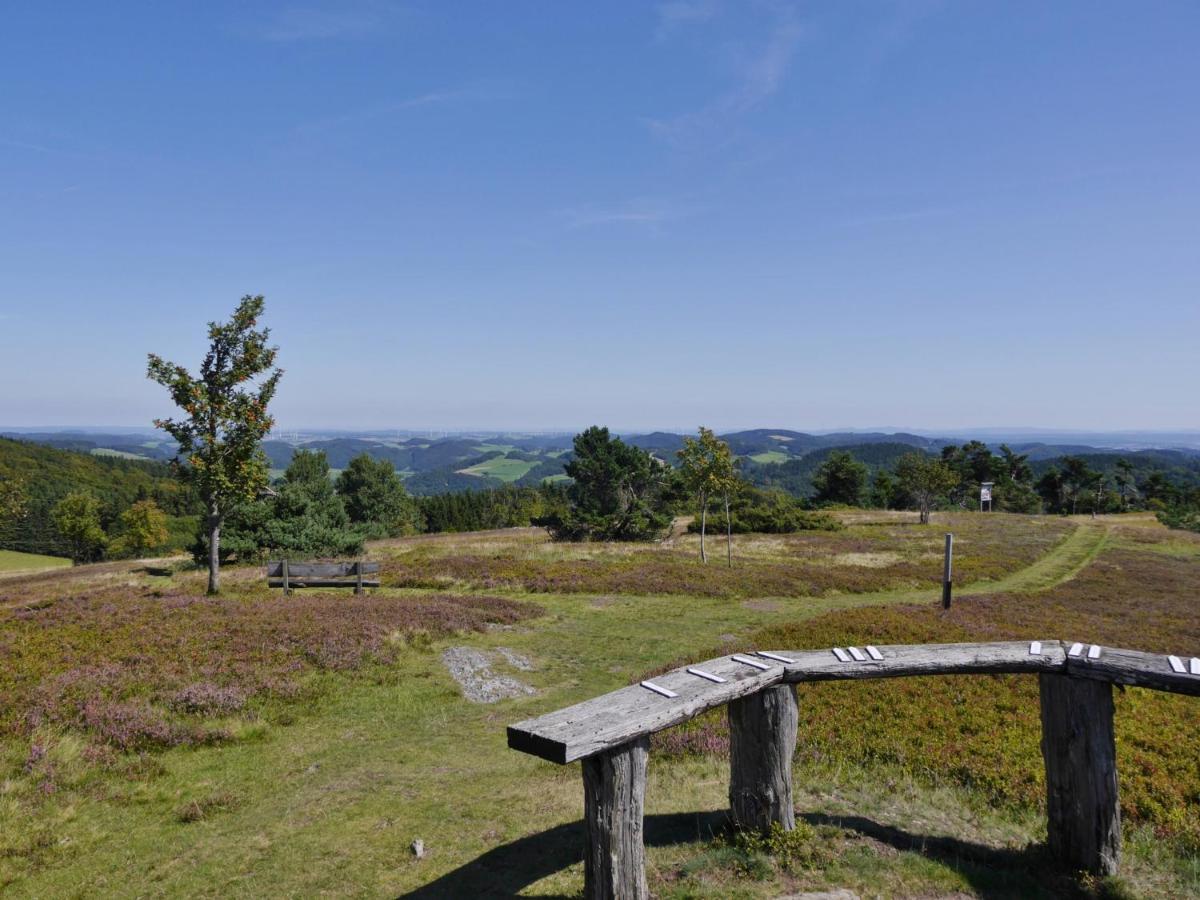 Fewo Blumes Bergfrieden Mit Meinecardplus ヴィリンゲン エクステリア 写真