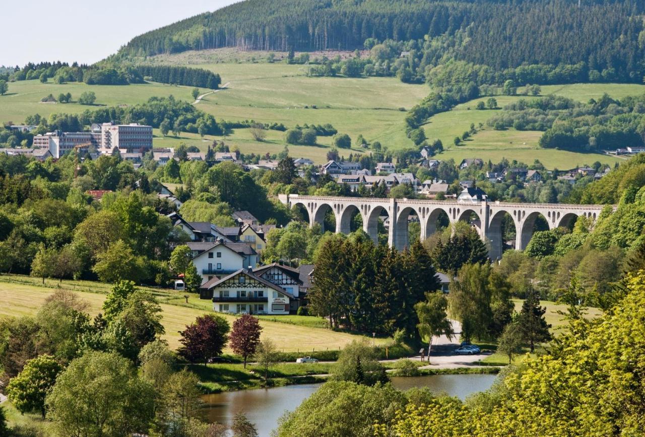 Fewo Blumes Bergfrieden Mit Meinecardplus ヴィリンゲン エクステリア 写真