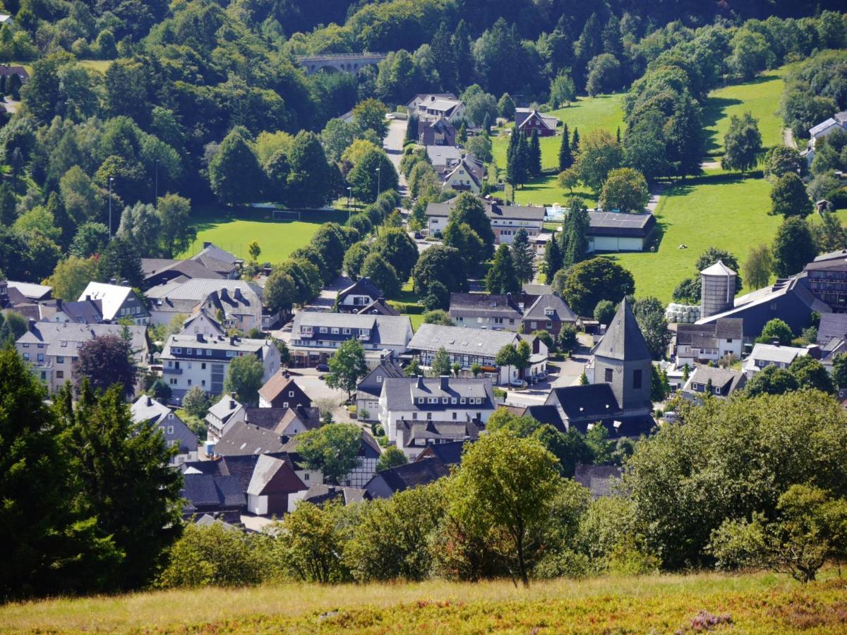 Fewo Blumes Bergfrieden Mit Meinecardplus ヴィリンゲン エクステリア 写真