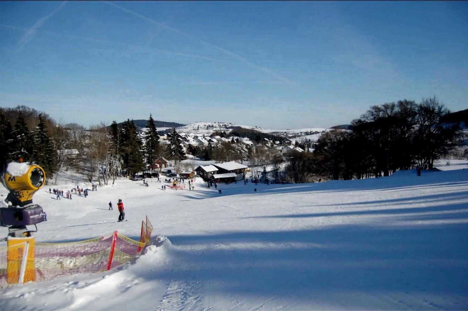 Fewo Blumes Bergfrieden Mit Meinecardplus ヴィリンゲン エクステリア 写真