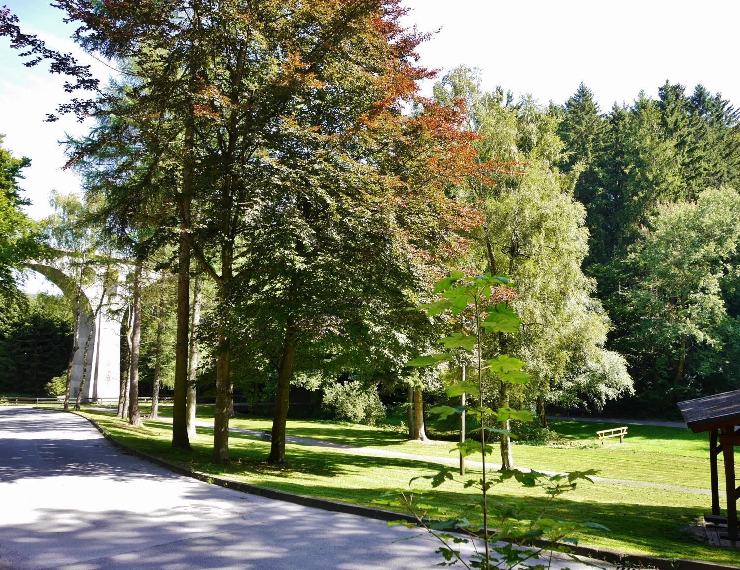 Fewo Blumes Bergfrieden Mit Meinecardplus ヴィリンゲン エクステリア 写真